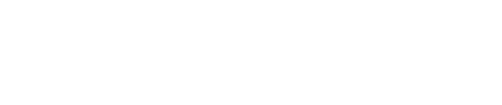 ES H Financiado por la UE WHITE